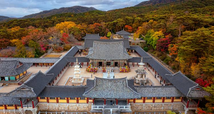 Vue aérienne du Temple Bulguksa entouré d'un feuillage automnal vibrant avec des collines boisées s'élevant derrière le complexe.