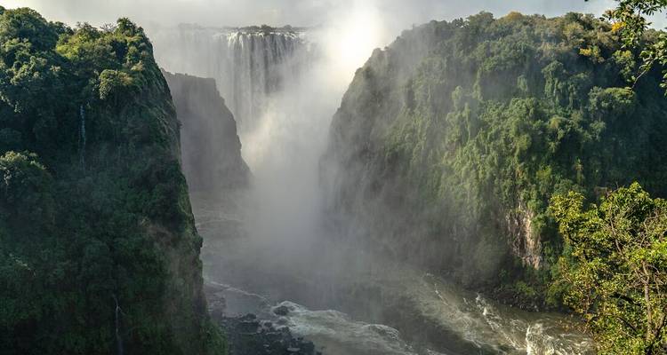 La poderosa cortina de las Cataratas Victoria se desploma en el cañón rodeada de acantilados frondosos
