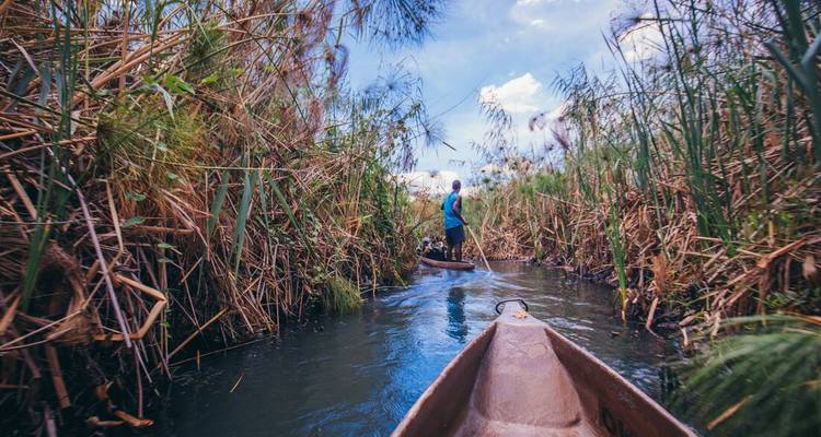 Vista desde una canoa excavada deslizándose entre cañas altas mientras un palero guía el camino hacia adelante.