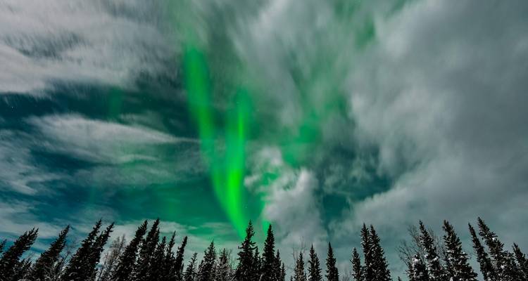 Des traînées d'aurore émeraude traversent un ciel nocturne dramatiquement nuageux au-dessus d'une silhouette de sapins.