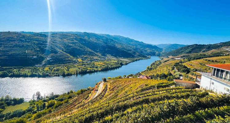 Les vignobles ensoleillés s'étagent sur les collines jusqu'à un fleuve scintillant qui serpente à travers la vallée du Douro.