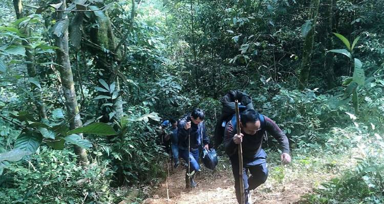Les routards parcourent à pied des sentiers de jungle escarpés et luxuriants en portant des fournitures sur des bâtons en bois.