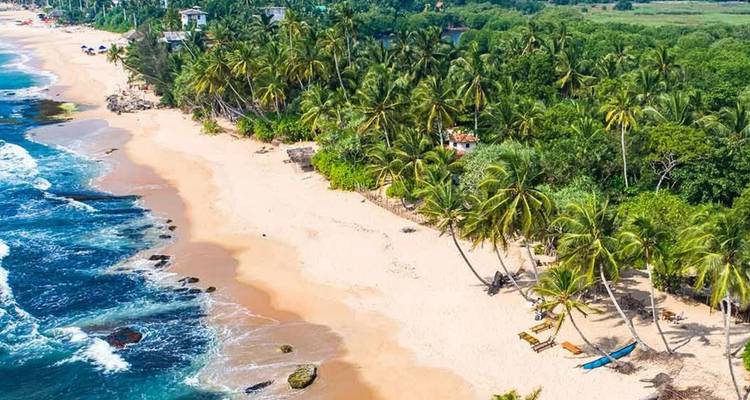 Vue aérienne d'une plage tropicale bordée de palmiers avec du sable doré et des vagues bleues.