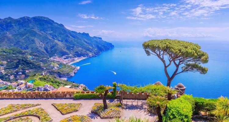 Vue panoramique sur les jardins en terrasses, les falaises abruptes et la côte d'Amalfi bleu profond avec un pin parasol solitaire au premier plan.