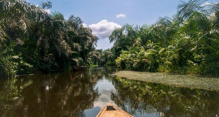 Proue d'un canoé glissant le long d'une rivière bordée de jungle sous un ciel lumineux et des palmiers.