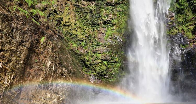 Puissante chute d'eau tropicale se précipitant sur des falaises couvertes de mousse avec un arc-en-ciel éclatant à sa base.