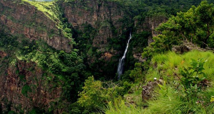 Une cascade étroite et haute se jette dans un canyon vert profond entouré d'une végétation luxuriante.