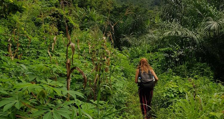 Vue de dos d'une randonneuse portant un sac à dos marchant à travers une végétation verte dense sur un sentier étroit.