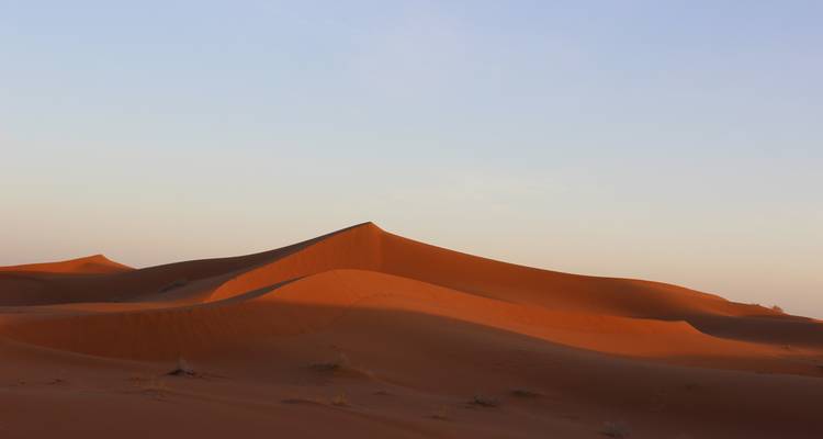 Les courbes élégantes des dunes de sable orange s'étendent sous la lumière douce du soir dans l'Erg Chigaga.