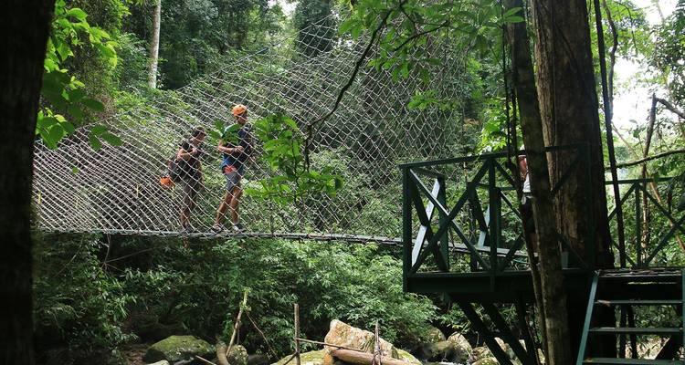 Les aventuriers traversent un pont-passerelle étroit en filet situé au cœur d'une dense végétation de jungle.