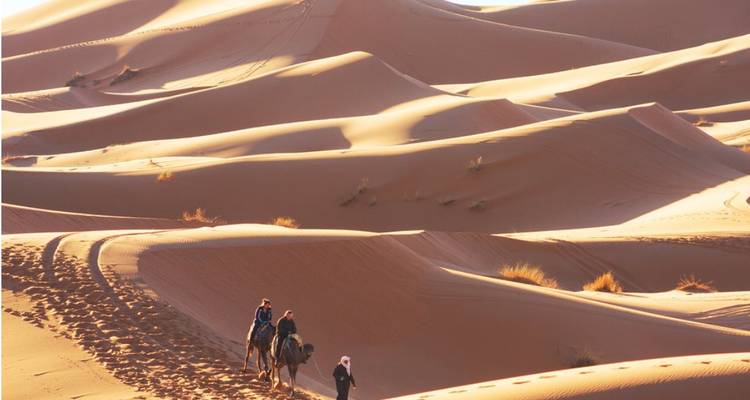 Una caravana de camellos atraviesa dunas doradas bajo la cálida luz del desierto.