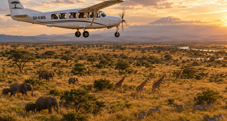 Een klein safarivliegtuigje vliegt over een enorme savanne vol olifanten, giraffen en zebra's bij zonsondergang met de Kilimanjaro in de mist.