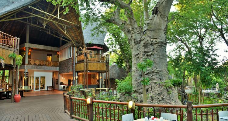 Terrasse de lodge au toit de chaume construite autour d'un immense baobab avec des jardins verdoyants et des garde-corps en bois