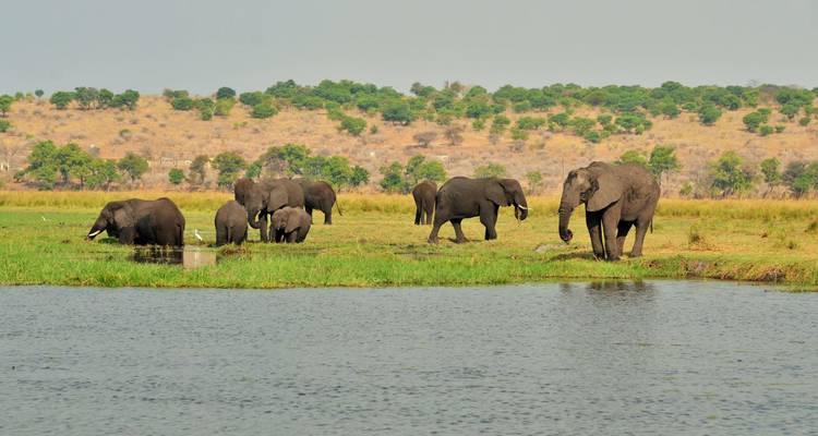 Troupeau d'éléphants d'Afrique broutant sur une rive herbeuse en face d'une étendue d'eau ouverte et de collines arides