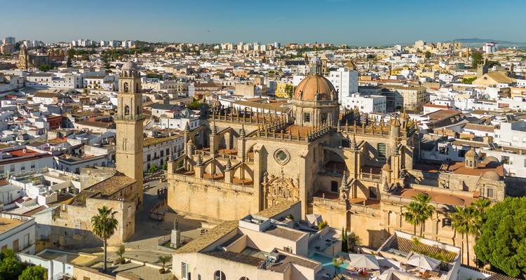 Vue aérienne détaillée de la cathédrale de Jerez s'élevant au-dessus d'une mer de toits blancs andalous.
