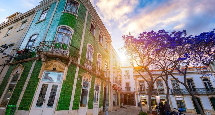 Charming Portuguese street with a green-tiled building, blooming jacaranda trees and warm evening sunlight.