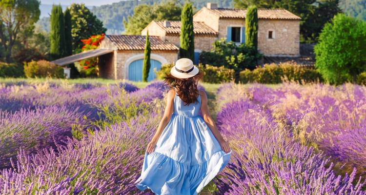 Une femme vêtue d'une robe bleue fluide et d'un chapeau de paille marche à travers les champs de lavande vibrants en direction d'une maison de ferme en pierre en Provence.