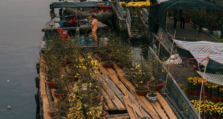 Potted blossom trees stacked on wooden barges along a calm urban river, viewed from above.