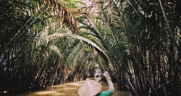 View from a boat moving under dense palm canopy with a paddler wearing a conical hat in the foreground.