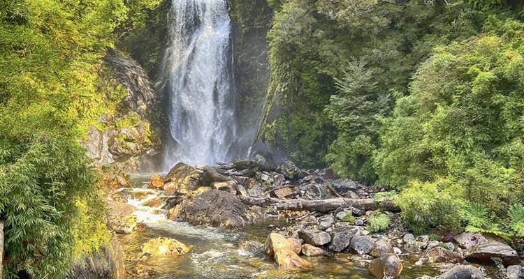 A tall waterfall cascades through dense green temperate rainforest into a rocky stream.