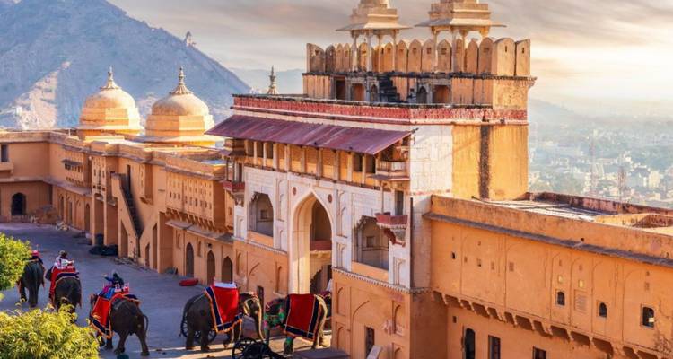 Olifanten met kleurrijke zadels lopen bij zonsopgang langs de wallen van het Amber Fort.