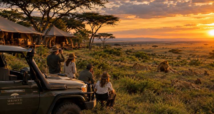 Les voyageurs observent les lions depuis des chaises de camping à côté d'un véhicule de safari à un point de vue panoramique au coucher du soleil.