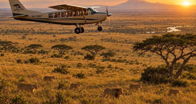 Un avion léger survole un groupe de lions en chasse dans les herbes dorées à côté d'une rivière sinueuse à l'aube.