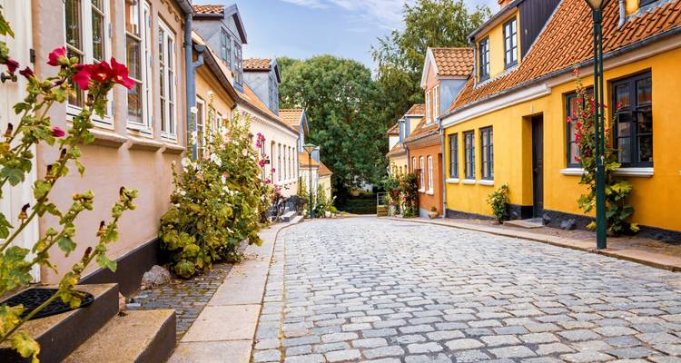 Ruelle calme et étroite avec des chaumières ocre et jaune et des fleurs grimpantes à Odense.