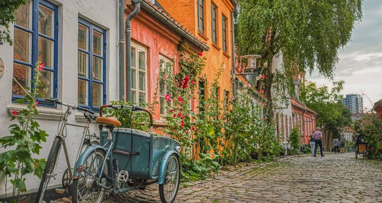 Charmante geplaveide steegje met kleurrijke grachtenpanden, bloeiende maurietanussen en een vintage vrachtfiets.