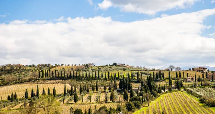 Les vignobles vallonnés de Toscane et les rangées de cyprès s'étendent sous un ciel de printemps partiellement nuageux.