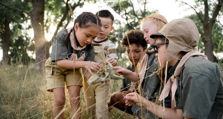 Des enfants en uniforme de scout examinent un crâne animal dans l'herbe haute lors d'une leçon de nature.