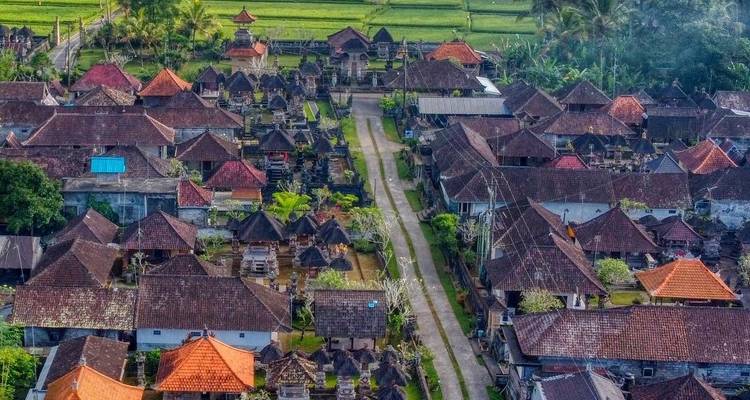 Vue aérienne d'un village balinais traditionnel avec des toits en tuiles, une ruelle étroite et des rizières environnantes