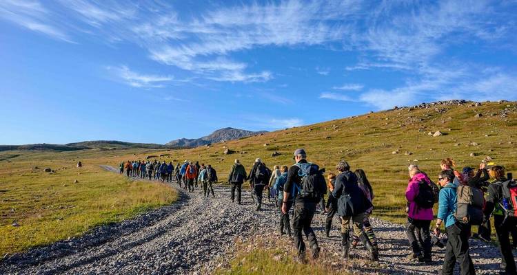 Eine lange Reihe von Wanderern geht einen Kiesweg durch offene Tundra unter einem strahlend blauen Himmel entlang.