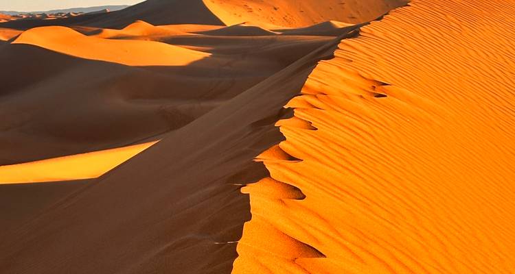 Close-up abstract view of wind-sculpted sand ridges on a sun-lit dune.