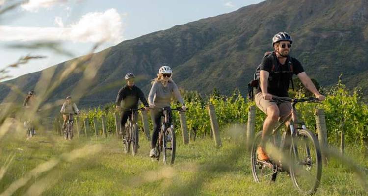 Les cyclistes traversent un vignoble baigné de soleil avec des montagnes qui s'élèvent en arrière-plan.