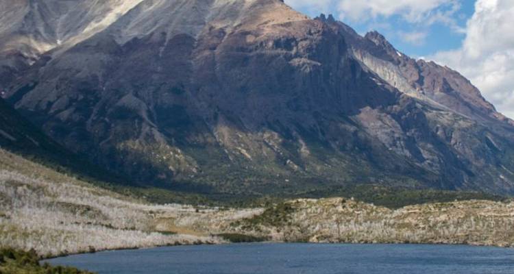 Vaste lac de Patagonie encadré par des montagnes aux cicatrices de tempête et des forêts sous un ciel bleu.