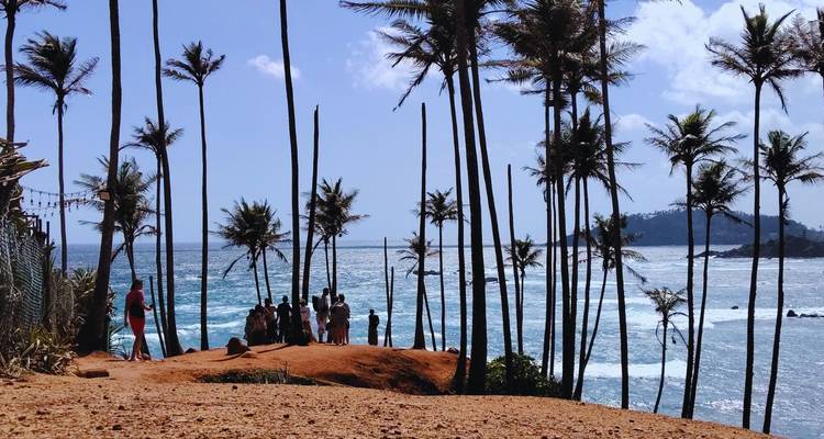 Gruppe von Besuchern, die auf dem berühmten Aussichtspunkt Coconut Tree Hill stehen, mit hohen Palmensilhouetten vor dem leuchtend blauen Meer.