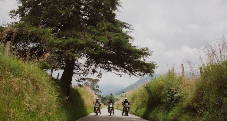 Trio von Motorradfahrern, gerahmt unter einem großen Baum auf einer schmalen Landstraße mit Hügeln im Hintergrund.