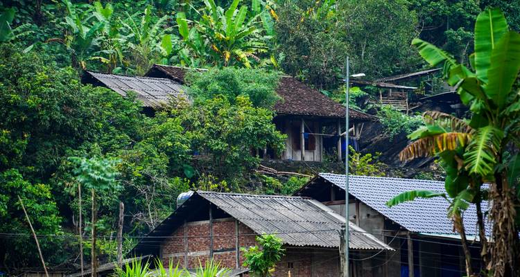 Casas de madera tradicionales acurrucadas entre una densa vegetación tropical en una ladera.