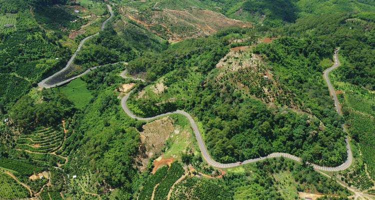Una vista aérea de una sinuosa carretera de montaña que serpentea a través de verdes colinas exuberantes y granjas en terrazas en el norte de Vietnam.