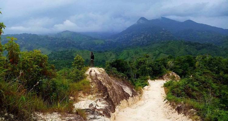 Un senderista solitario se para en una cresta arenosa que da vista a montañas verdes y exuberantes bajo un cielo nublado.