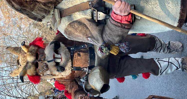 Een verklede Kukeri-danser in een bonten masker met bellen loopt tijdens een Bulgaars festival door een straat.