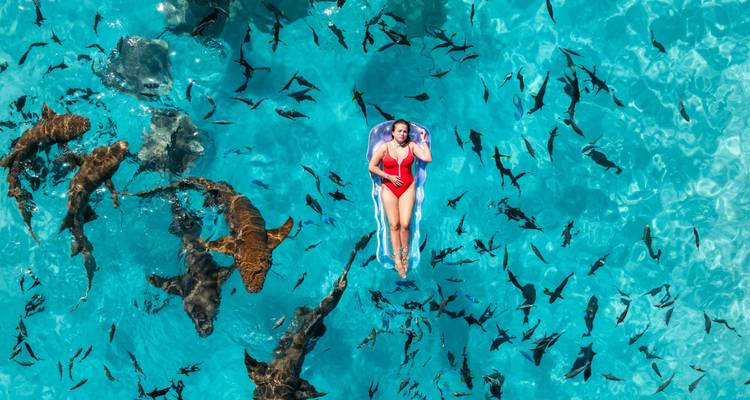 Vue aérienne d'une femme en maillot de bain rouge sur un matelas pneumatique entourée de requins de récif dans une eau turquoise cristalline.