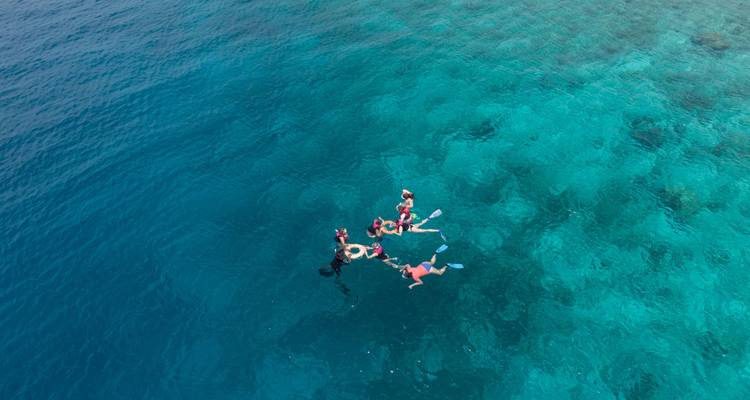 Groupe de plongeurs en apnée flottant ensemble dans une eau bleu profond vue d'en haut.