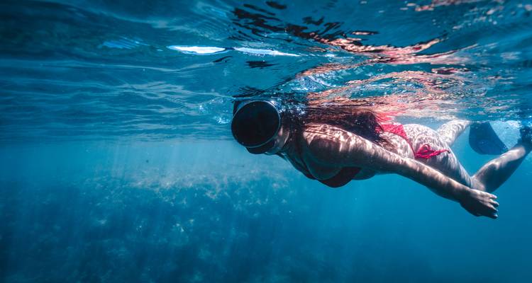 Image sous-marine d'un plongeur en apnée glissant au-dessus d'une barrière de corail dans une mer bleu clair.