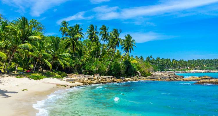 Tropisch zandstrand met palmbomen en helder turquoise water onder een strakblauwe hemel.
