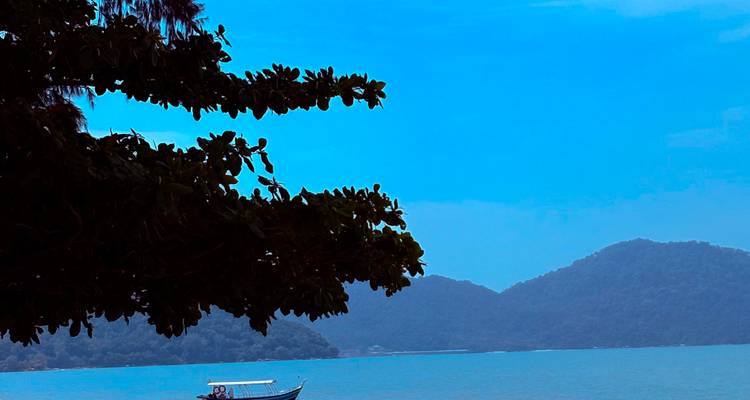 Mer turquoise calme avec un petit bateau à moteur sous une branche d'arbre, des collines boisées au loin.
