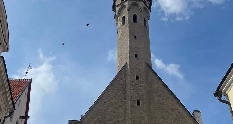 Vue ascendante d'une haute flèche d'église médiévale encadrée par un ciel bleu et des oiseaux en vol