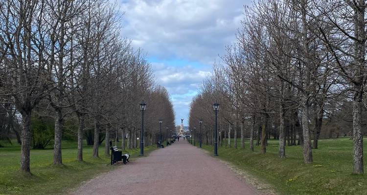 Long chemin de gravel bordé d'arbres dans un parc avec des bancs et un piéton au loin