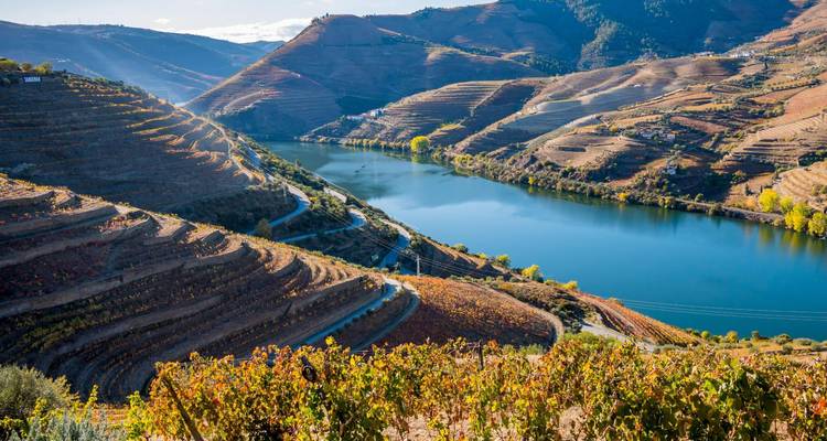 Les vignobles en terrasses s'étalent en pente douce vers le Douro qui serpente au milieu de collines ondulantes sous un ciel d'un bleu cristallin.
